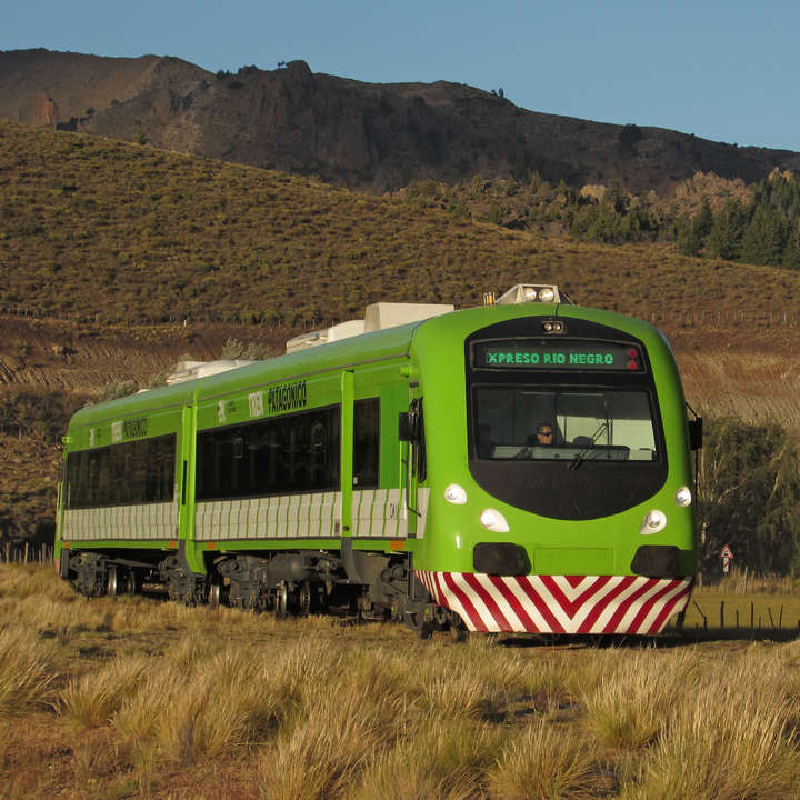 El mítico Tren Patagónico vuelve a funcionar el 31 de mayo - MendoTimes