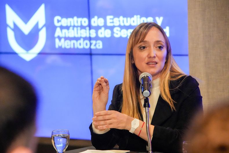 La senadora nacional Anabel Fernández Sagasti lanzó una fuerte acusación contra el jefe de Gabinete. 
