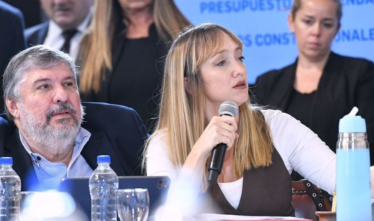 La senadora nacional Anabel Fernández Sagasti salió a marcar que con las reformas en varios impuestos Mendoza perderá $25.000 millones en el 2024.